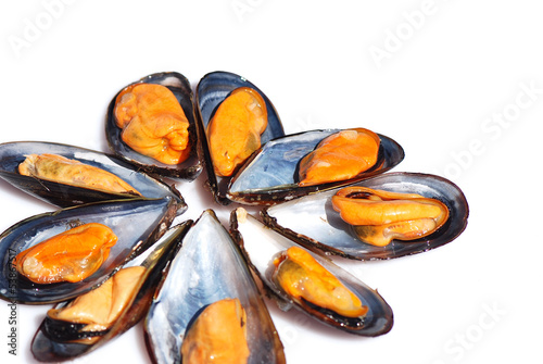 Photo: MEJILLONES GALLEGOS. PRODUCTOS DEL MAR MEJILLONES GALLEGOS. PRODUCTOS DEL MAR