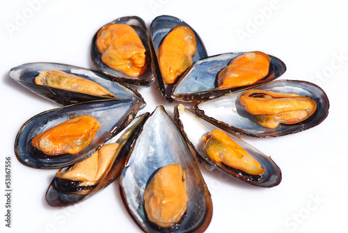 Photo: MEJILLONES GALLEGOS. PRODUCTOS DEL MAR. ESPAÑOL MEJILLONES GALLEGOS. PRODUCTOS DEL MAR. ESPAÑOL