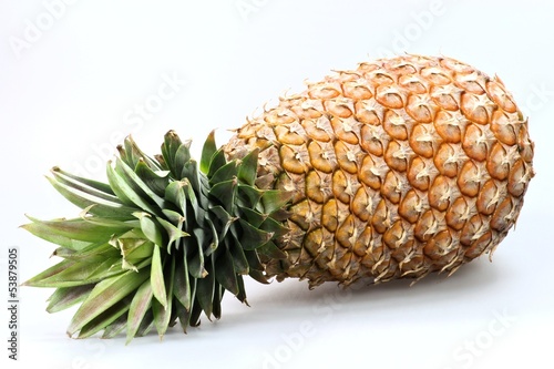Photo: Ananas01 Ananas01