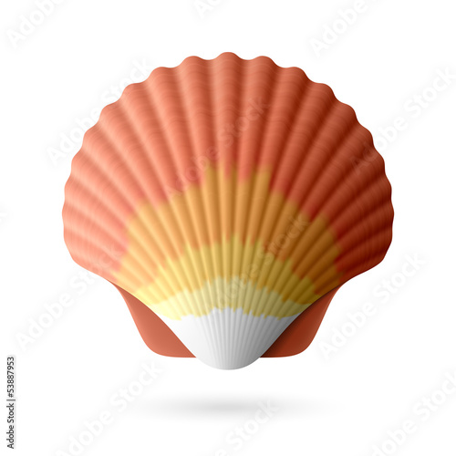 Vector: Scallop seashell Scallop seashell