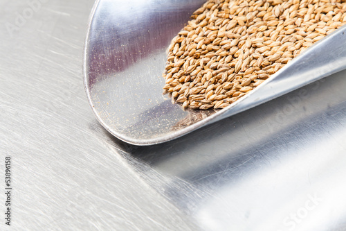 Photo: Beer Malt Beer Malt