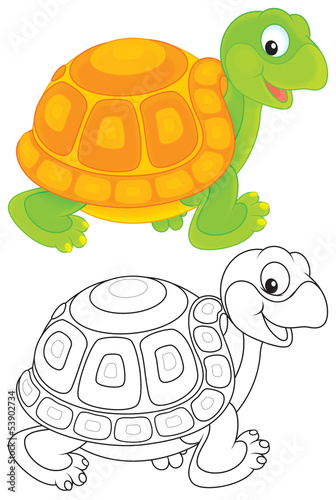 Illustration: Turtle Turtle