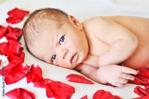 Photo: one weeks newborn girl one weeks newborn girl