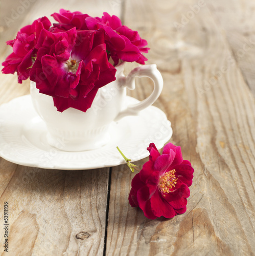 Photo: Dog rose flowers in cup Dog rose flowers in cup