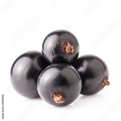 Photo: Black currant isolated on white background Black currant isolated on white background