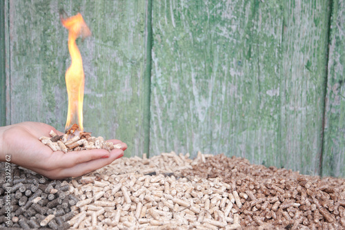 Photo: Pelllets- biomass Pelllets- biomass