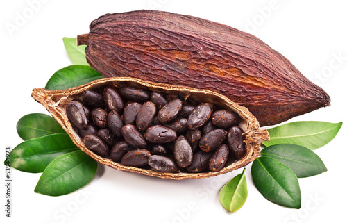 Photo: Cocoa pod Cocoa pod