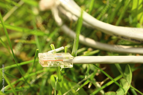 Photo: Ethernet cable on green grass Ethernet cable on green grass
