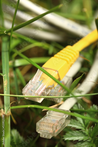 Photo: Ethernet cable on green grass Ethernet cable on green grass