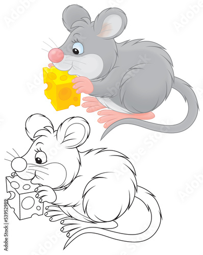 Illustration: Grey mouse Grey mouse