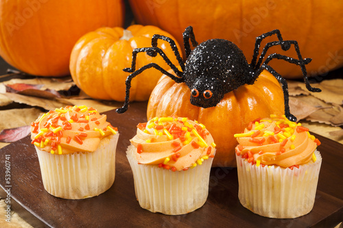 Photo: Halloween Spider with Cupcakes and pumpkins Halloween Spider with Cupcakes and pumpkins