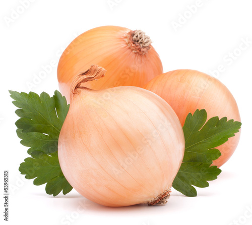 Photo: Onion vegetable bulb and parsley leaves still life Onion vegetable bulb and parsley leaves still life