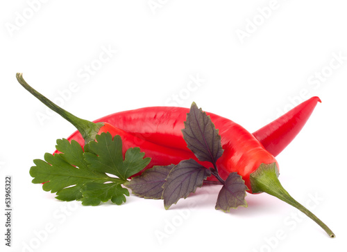 Photo: Hot red chili or chilli pepper and aromatic herbs leaves still l Hot red chili or chilli pepper and aromatic herbs leaves still l
