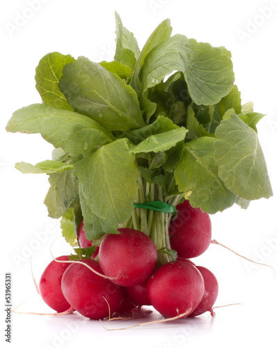 Photo: Small garden radish with leaves Small garden radish with leaves
