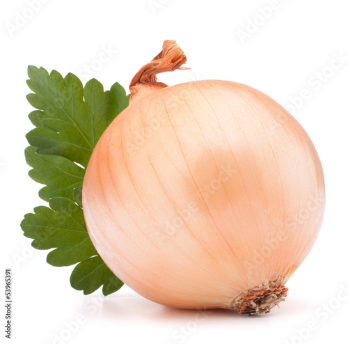 Photo: Onion vegetable bulb and parsley leaves still life Onion vegetable bulb and parsley leaves still life