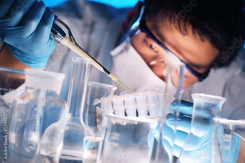 Photo: Scientist examining samples Scientist examining samples