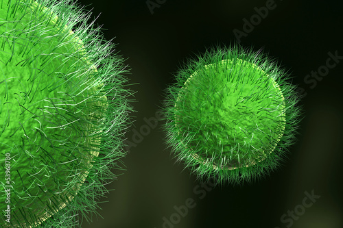Illustration: Viruses, detailed 3d illustration Viruses, detailed 3d illustration