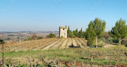 Photo: paysage provençal - buisson paysage provençal - buisson
