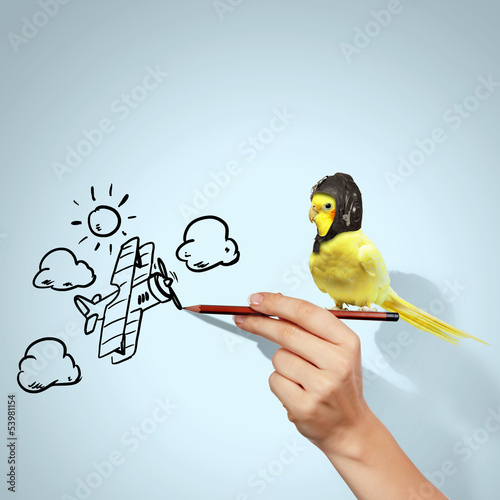 Photo: Parrot in pilot hat Parrot in pilot hat