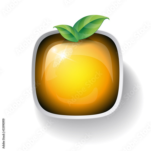 Vector: Natural button with green leaves Natural button with green leaves