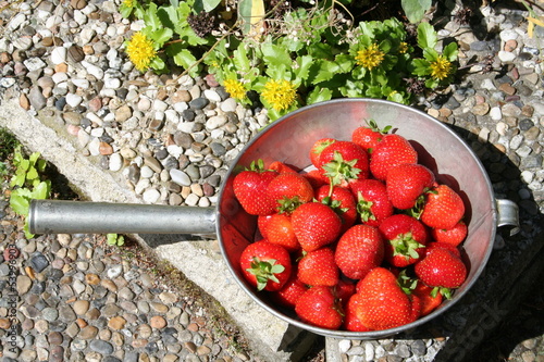 Photo: Swedish strawberries for Midsummer evening Swedish strawberries for Midsummer evening