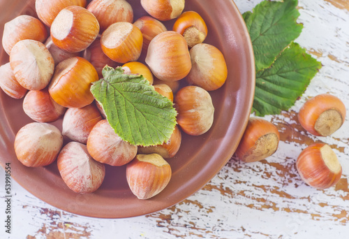 Photo: hazelnuts hazelnuts