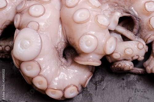 Photo: Arme von einem rohen Kraken Arme von einem rohen Kraken