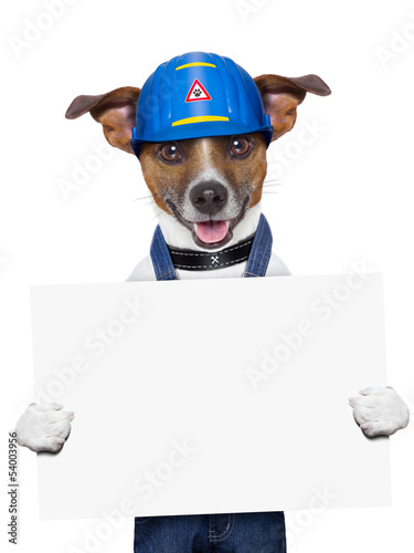 Photo: Craftsman dog Craftsman dog