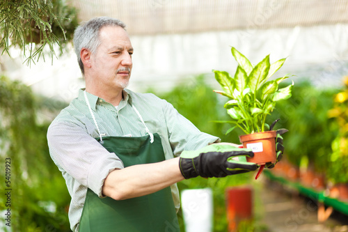 Photo: Greenhouse employee Greenhouse employee