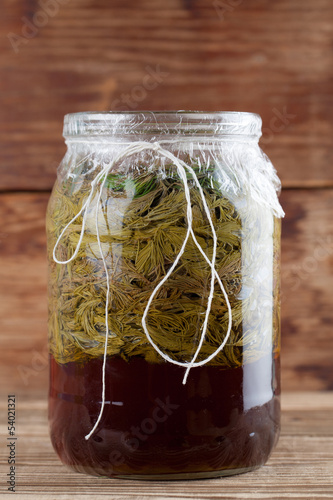 Photo: Spruce sprouts syrup - making of Spruce sprouts syrup - making of