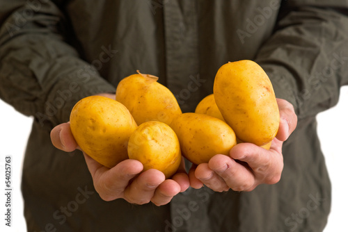 Photo: Farmer holding potato Farmer holding potato