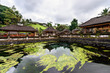 The pool of holy springs at Tirta Empul, Bali Indonesia. The pool of holy springs at Tirta Empul, Bali Indonesia.