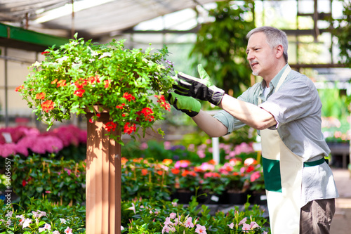 Photo: Greenhouse employee Greenhouse employee