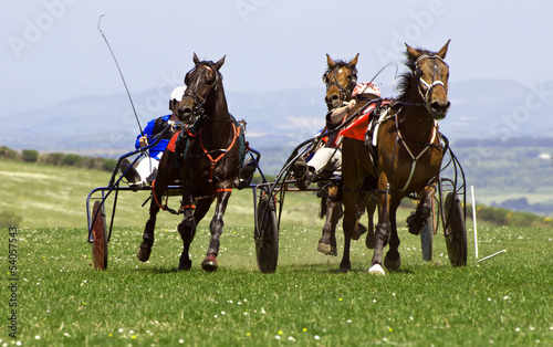 Photo: Trotting Race Synod Inn Cardigan Wales Trotting Race Synod Inn Cardigan Wales