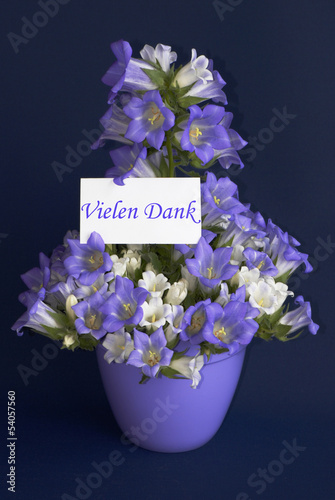 Photo: Vielen Dank Vielen Dank