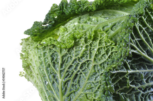 Photo: Savoy cabbage Savoy cabbage