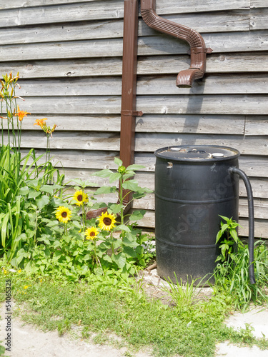 Photo: Rain Barrel Rain Barrel