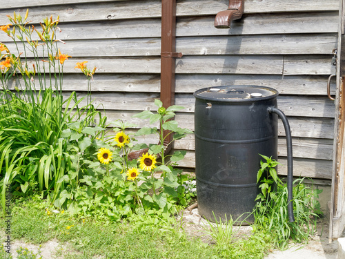 Photo: Rain Barrel Rain Barrel