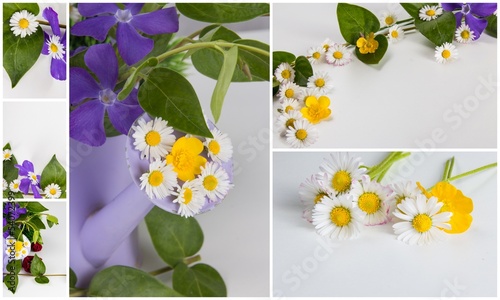 Photo: Collage Blumengrüße Collage Blumengrüße