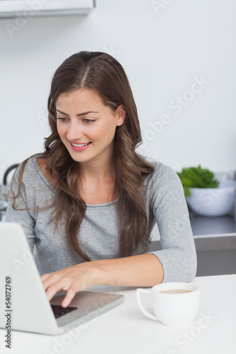 Photo: Woman using her laptop pc in the kitchen Woman using her laptop pc in the kitchen