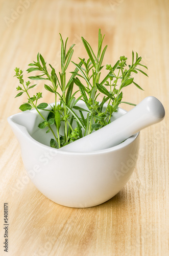 Photo: Porzellanmörser mit Küchenkräutern Porzellanmörser mit Küchenkräutern