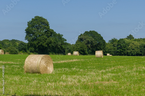 Photo: campagne campagne