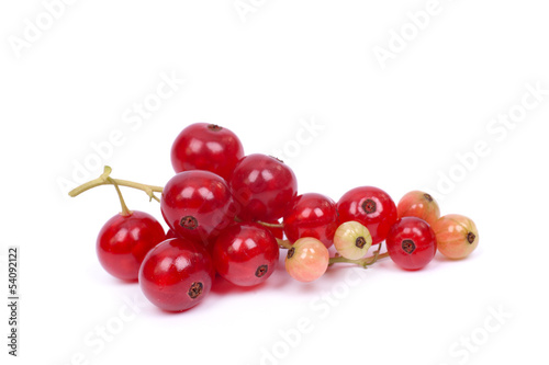 Photo: Johannisbeeren Johannisbeeren