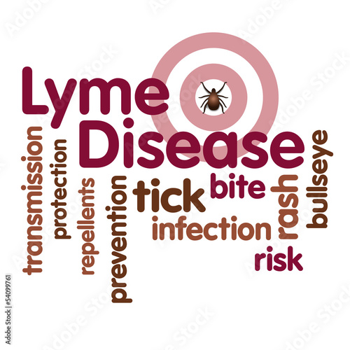 Illustration: Lyme Disease Word Cloud, Tick, bulls eye rash, infection, risk Lyme Disease Word Cloud, Tick, bulls eye rash, infection, risk