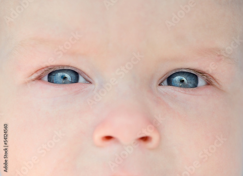 Photo: Newborn eyes and nose Newborn eyes and nose