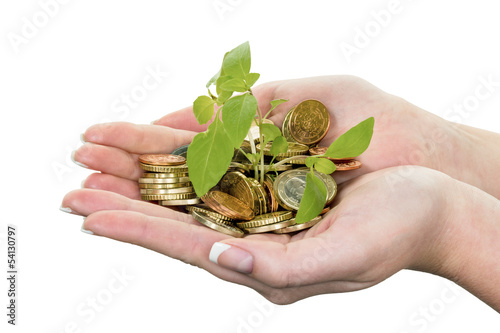 Photo: Geld und Pflanze. Symbolfoto Sparen Geld und Pflanze. Symbolfoto Sparen