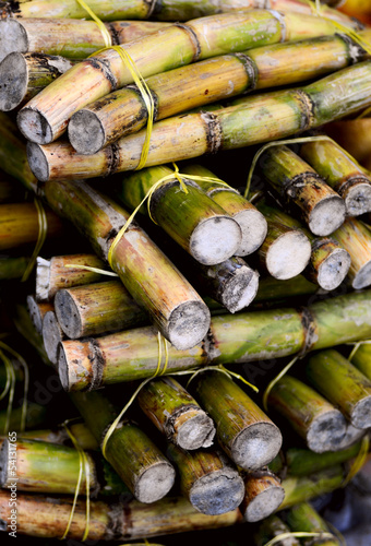 Photo: close up photo of a stack of sugar cane sticks close up photo of a stack of sugar cane sticks