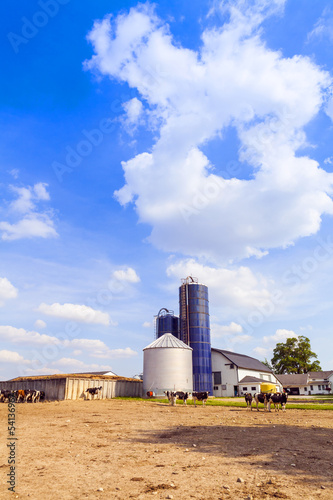 Photo: American Farmland With Blue Cloudy Sky American Farmland With Blue Cloudy Sky