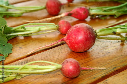 Photo: Frische Radieschen direkt aus dem Garten Frische Radieschen direkt aus dem Garten