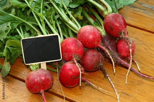 Photo: Frische Radieschen direkt auf dem Garten mit Schild Frische Radieschen direkt auf dem Garten mit Schild